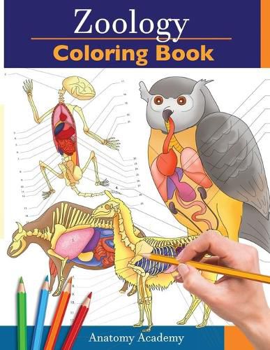 Cover image for Zoology Coloring Book: Incredibly Detailed Self-Test Animal Anatomy Color workbook Perfect Gift for Veterinary Students and Animal Lovers