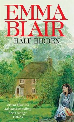 Cover image for Half Hidden