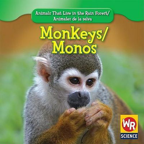 Cover image for Monkeys / Monos