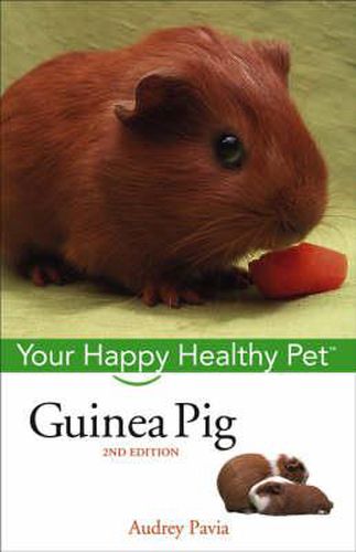 Cover image for Guinea Pig