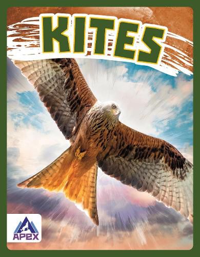 Cover image for Birds of Prey: Kites