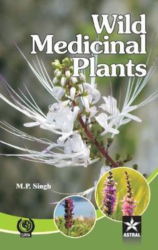 Cover image for Wild Medicinal Plants