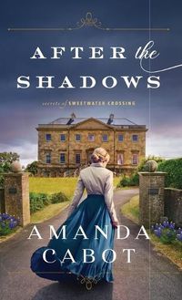 Cover image for After the Shadows