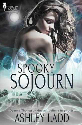 Cover image for Spooky Sojourn