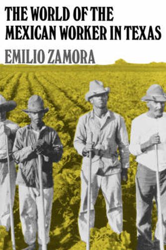 Cover image for The World of the Mexican Worker in Texas