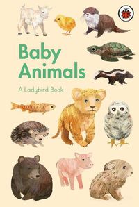 Cover image for A Ladybird Book: Baby Animals
