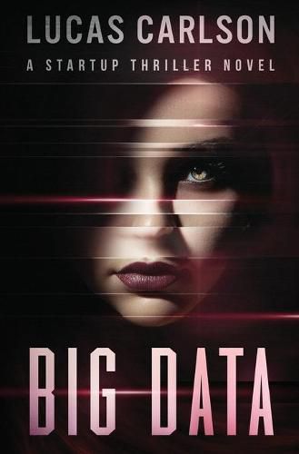 Cover image for Big Data: A Startup Thriller Novel