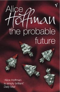 Cover image for The Probable Future