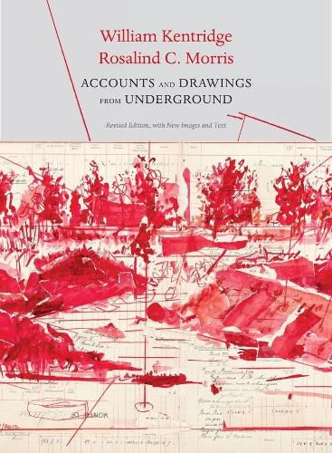 Cover image for Accounts and Drawings from Underground: The East Rand Proprietary Mines Cash Book