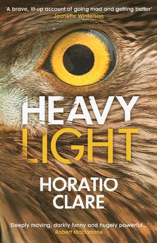 Heavy Light: A Journey Through Madness, Mania and Healing