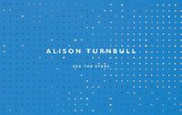 Cover image for Alison Turnbull: Sea the Stars