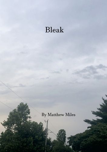 Cover image for Bleak