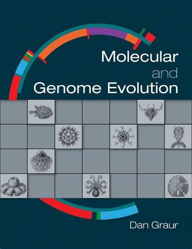 Cover image for Molecular and Genome Evolution