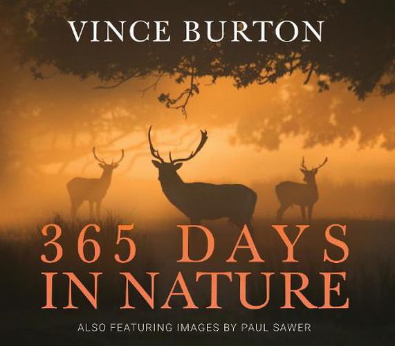 Cover image for 365 Days in Nature