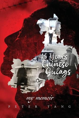 Cover image for 15 years in Chinese Gulags