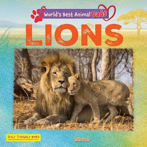 Cover image for Lions