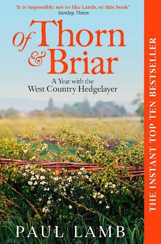 Cover image for Of Thorn & Briar