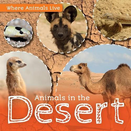 Animals in the Desert