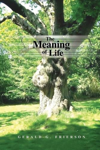 Cover image for The Meaning of Life