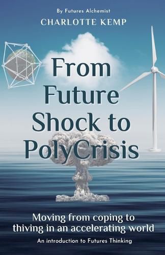 Cover image for From Future Shock to PolyCrisis