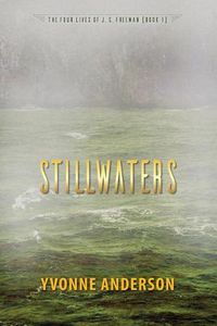 Cover image for Stillwaters