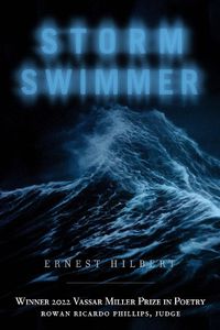 Cover image for Storm Swimmer