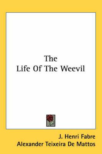 The Life of the Weevil