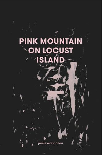 Cover image for Pink Mountain on Locust Island