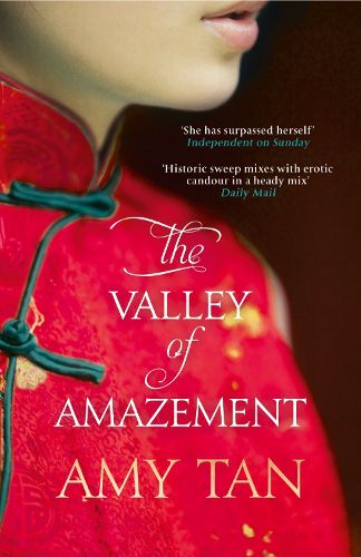 Cover image for The Valley of Amazement