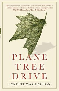 Cover image for Plane Tree Drive