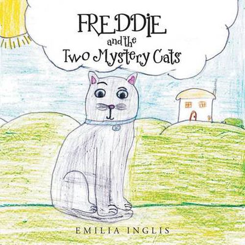 Cover image for Freddie and the Two Mystery Cats