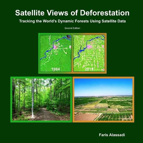 Cover image for Satellite Views of Deforestation