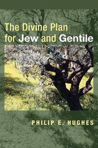 Cover image for The Divine Plan for Jew and Gentile