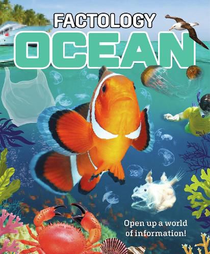 Cover image for Factology: Ocean