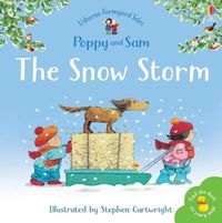 Cover image for The Snow Storm