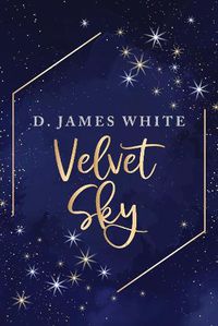 Cover image for Velvet Sky