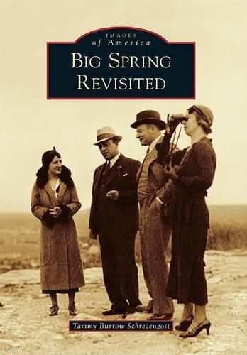 Cover image for Big Spring Revisited