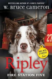 Cover image for Ripley: Fire Station Five