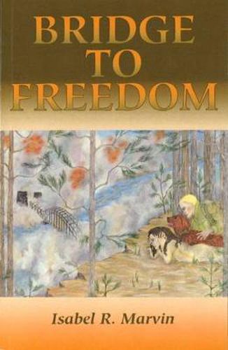 Cover image for Bridge to Freedom