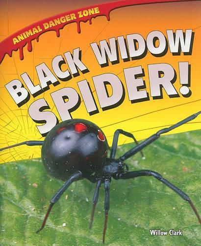 Cover image for Black Widow Spider!