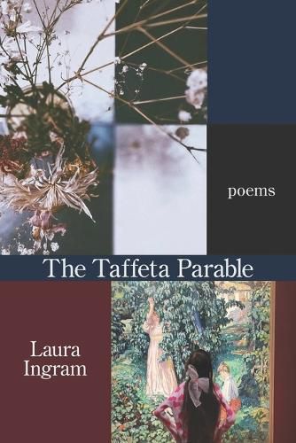 Cover image for The Taffeta Parable