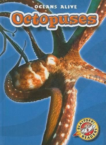 Cover image for Octopuses