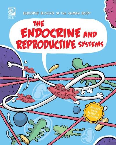 Cover image for The Endocrine and Reproductive Systems