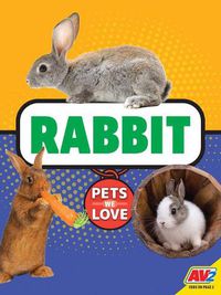 Cover image for Rabbit