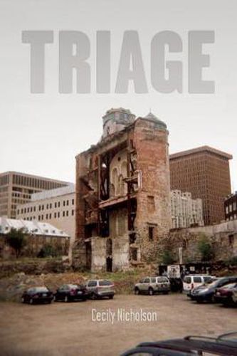 Cover image for Triage