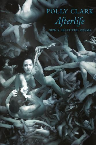 Cover image for Afterlife