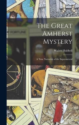 Cover image for The Great Amherst Mystery