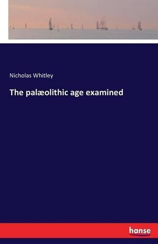 Cover image for The palaeolithic age examined