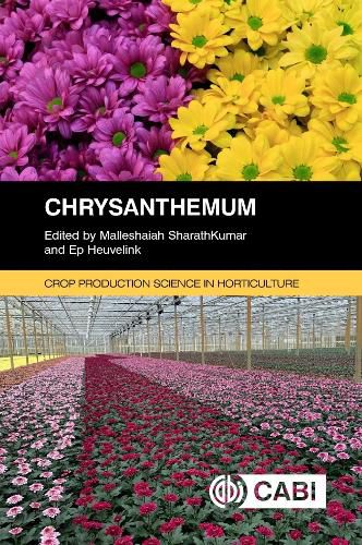 Cover image for Chrysanthemum