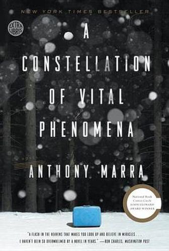 A Constellation of Vital Phenomena: A Novel